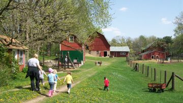 23845647farmyard