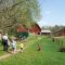 23845647farmyard