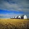 FARM EQUIPMENT SHEDS ON HARVESTED WHEAT FIELD EAST OF CALGARY.
