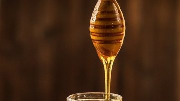24296043honey-1958464_640