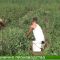 Централна Емисия Новини на Агро ТВ – 15.03.2017г.