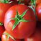 24897610tomato