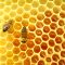 25161721Honey