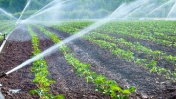 25305597Sprinkler-Micro-Irrigation-Systems-for-farm