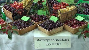 25315207agrotema_26_06