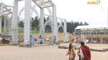 25334002agrotema_24_06