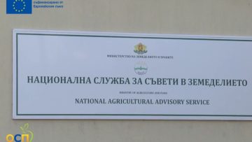 25441009ОСП44