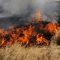 25539245fire