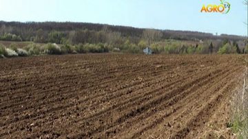 25639329komentar_20_07