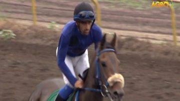 25680239agrotema_26_06