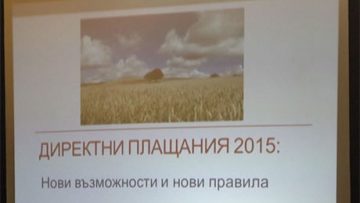 26354428direktni_olashtania