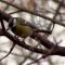 26653175news_30_12_2016