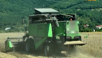 27291372agrotema_26_08_2018