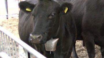 27853226agrotema_13_10_2018