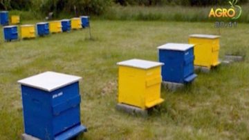 281663news_8_11_2017