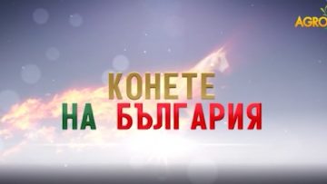 28827939konete_na_bylgariq