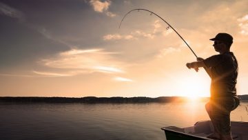 Fishing concepts.