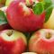29971599appels