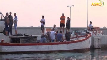 30010168113591komentar_03_12_2016