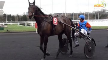 3029036213059811agrotema_11_07