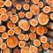 3043231cut-wood