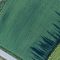 30871331field_farmland_road_tree_farm-79332