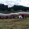 31859071agrotema
