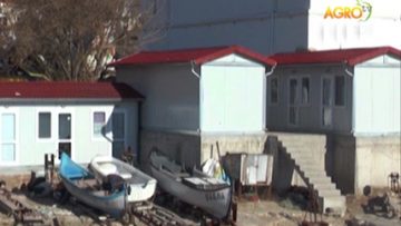 32318934Agrotema_7_11_2017