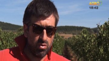 32341434agrotema_16_09