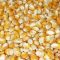 32396184yellow_corn