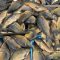 325848024ada5adda560384e8516f8826be5a8dd