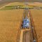 33990208monsanto_corn_Romania