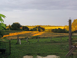 34093011Farm_June