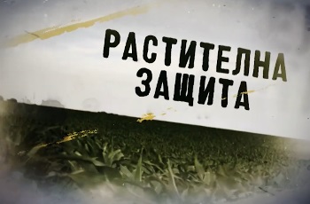 Preload Image