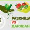 35144884snimka