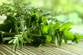36333809herbs