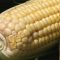 36518639monsanto_corn