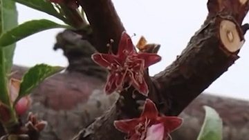 3668878775d63cf76491263a0c6bb4a72342f3bca2a54555