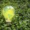 37768097Green_innovation