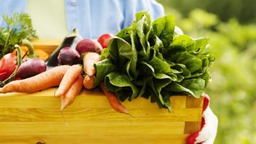 38101552vegetables-box-SS_126744209-560X400
