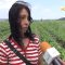 38181876Dimitrina_Blagoeva