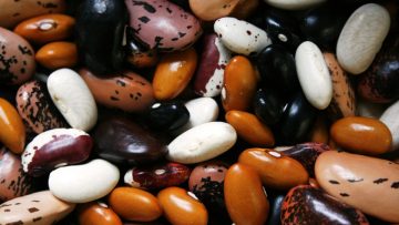 38756416beans-1001032_960_720