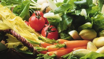 3882674primary-color-food
