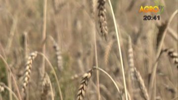3884197news_29_06
