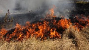 398030fire