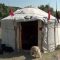 40187629agrotema_Miro