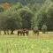 Агротема: Равносметка за 2019 година от Благоевградско, автор: Снежана Любенова
