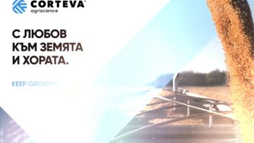 41312073cortewa20