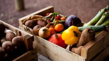 41629149farm-food-basket.838x0_q80