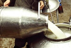42448188milk_farm